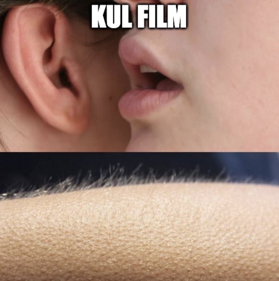 Kul Film vs vanlig film meme 17